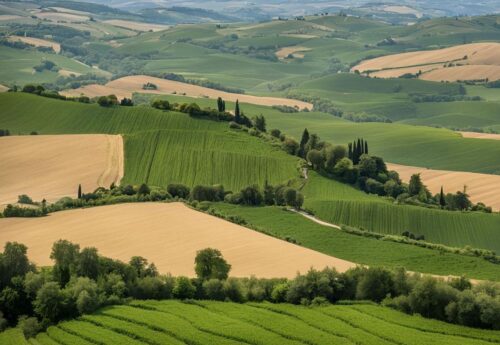 Terreno agricolo Montelupone